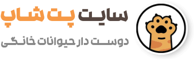 سایت آماده فروشگاهی